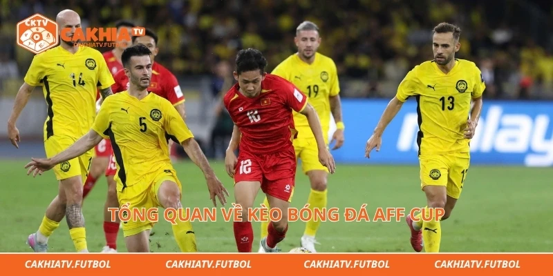 Tổng quan về kèo bóng đá aff cup